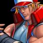 TERRY BOGARD